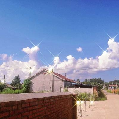 生存无人看管手游下载