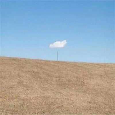 行星竞速vr游戏下载